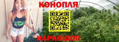 прущие крисы Новокубанск
