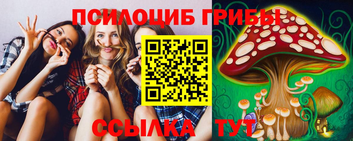 Псилоцибиновые грибы прущие грибы Ставрополь